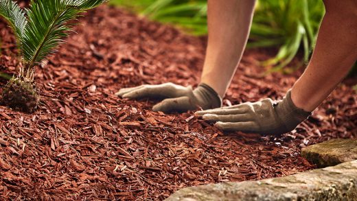 How Mulch Protects Your Garden Through Extreme Weather Conditions